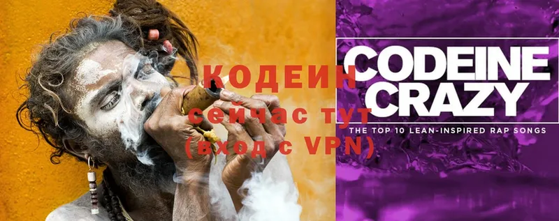 Кодеин Purple Drank Каменка